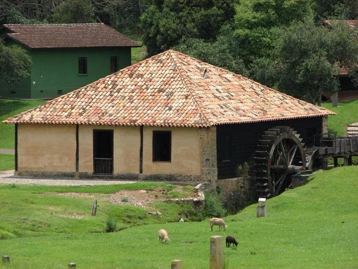 Mate Museum