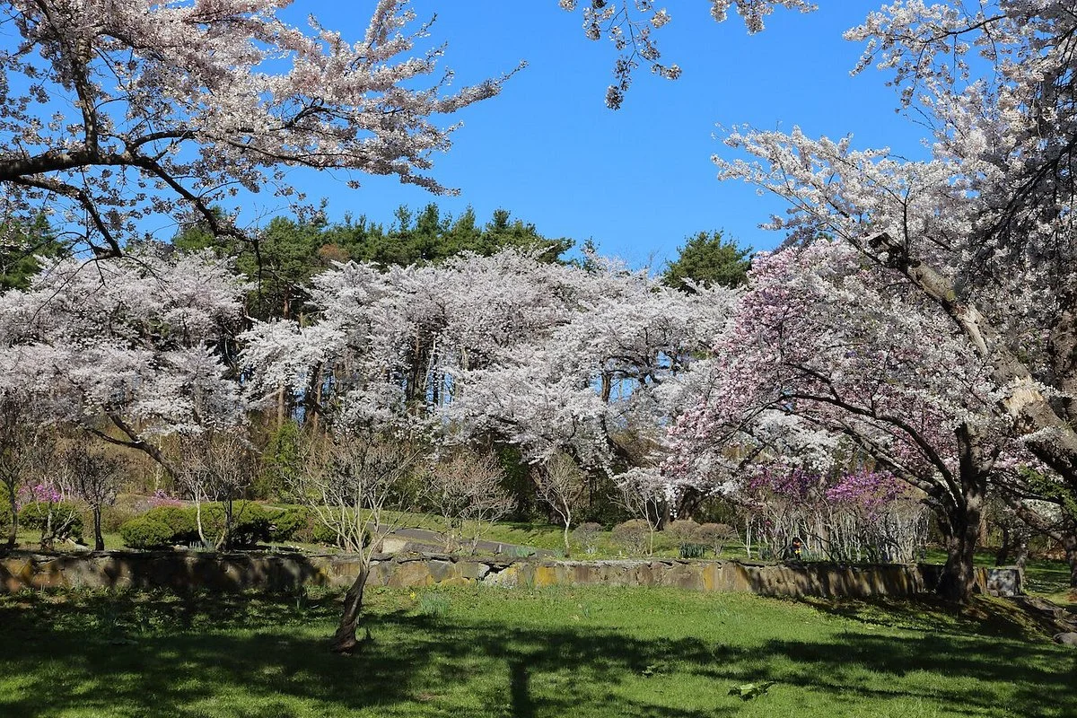 Oniushi Park