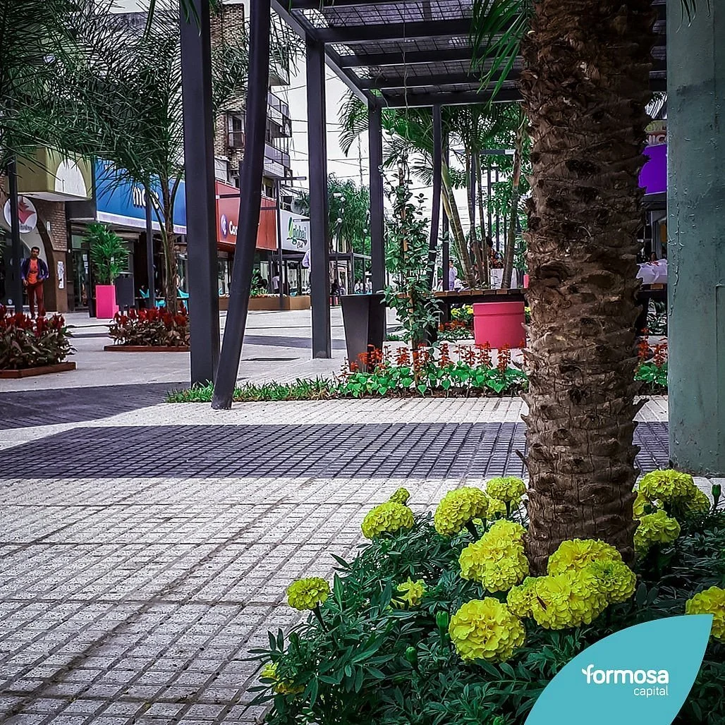Paseo Peatonal