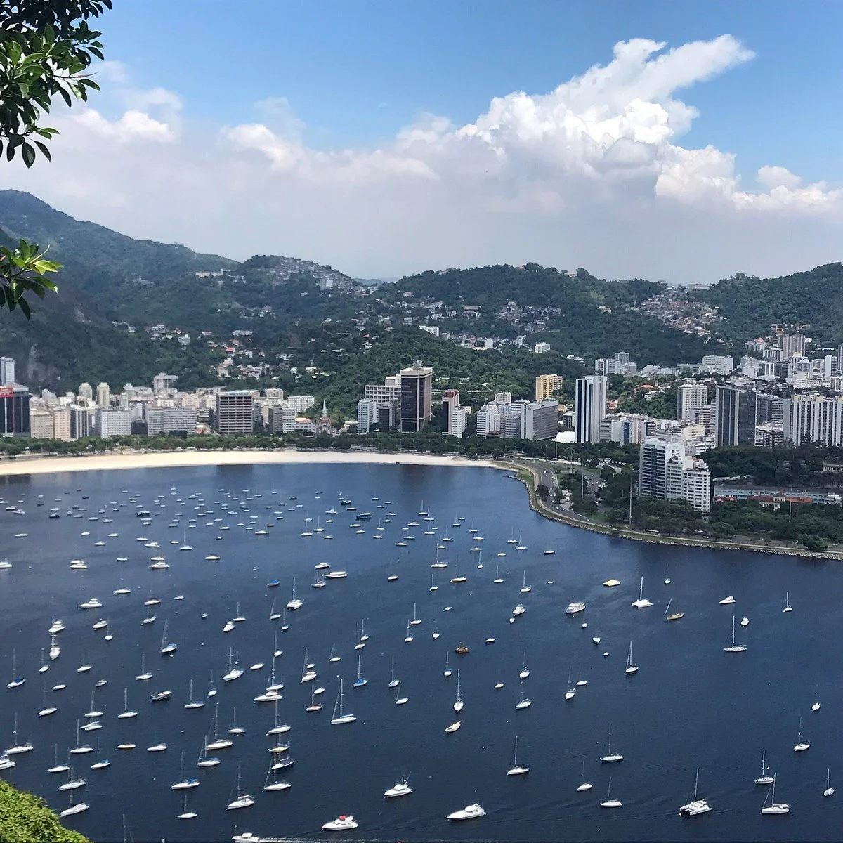 Urca