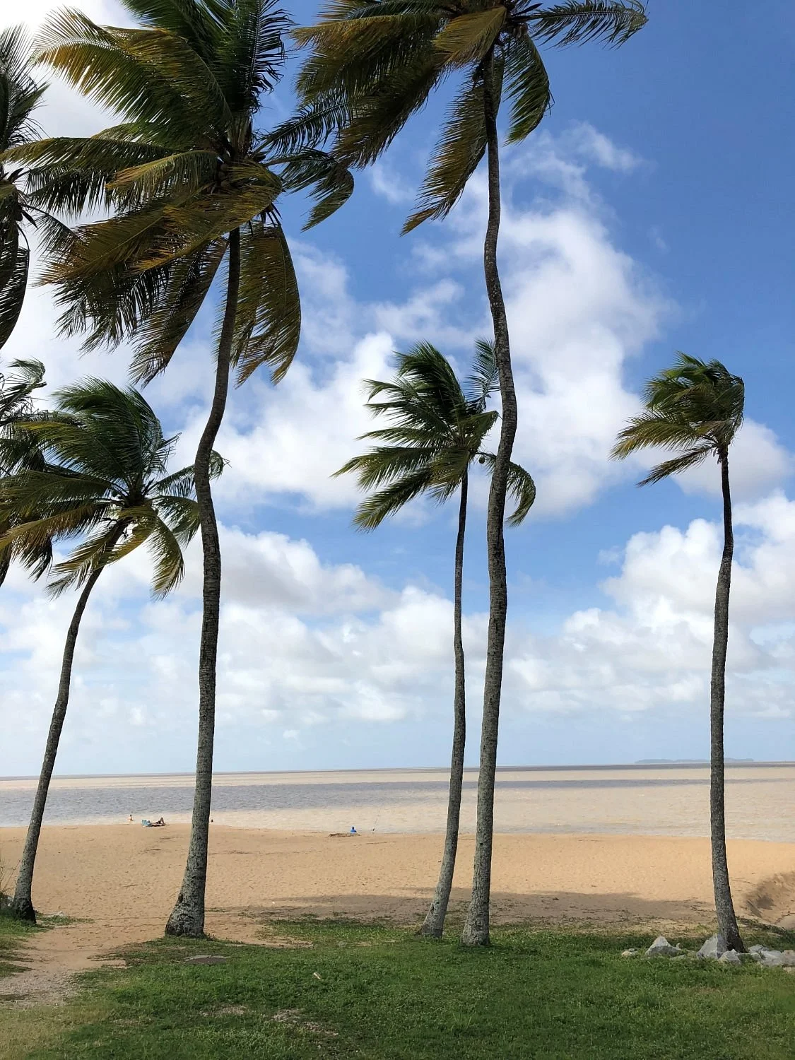 La plage des Roches