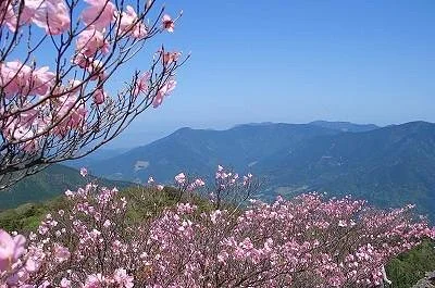 Mt. Sasayama