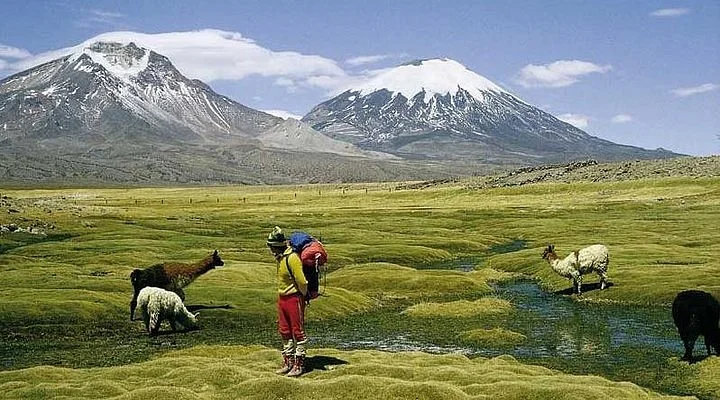 Volcan Taapaca