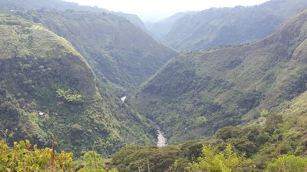 El Purutal