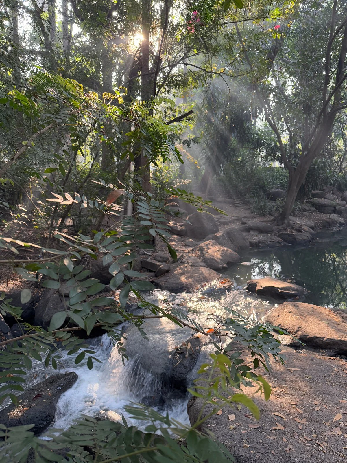 Koregaon Park