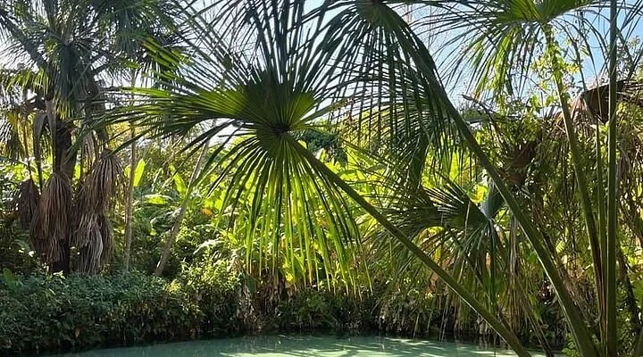 Ilha Verde Resort