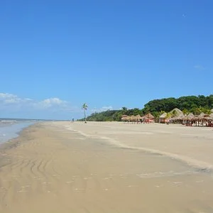 Prainha do Pinheiro Beach