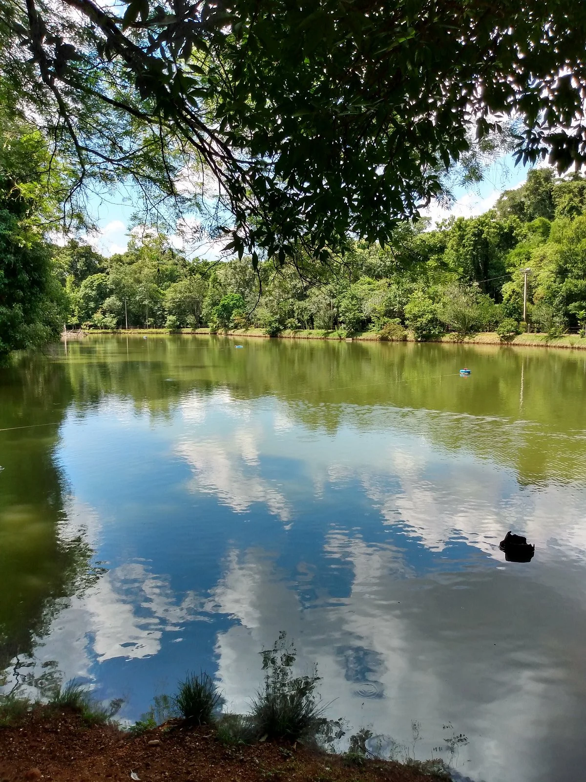 Parque do engenho