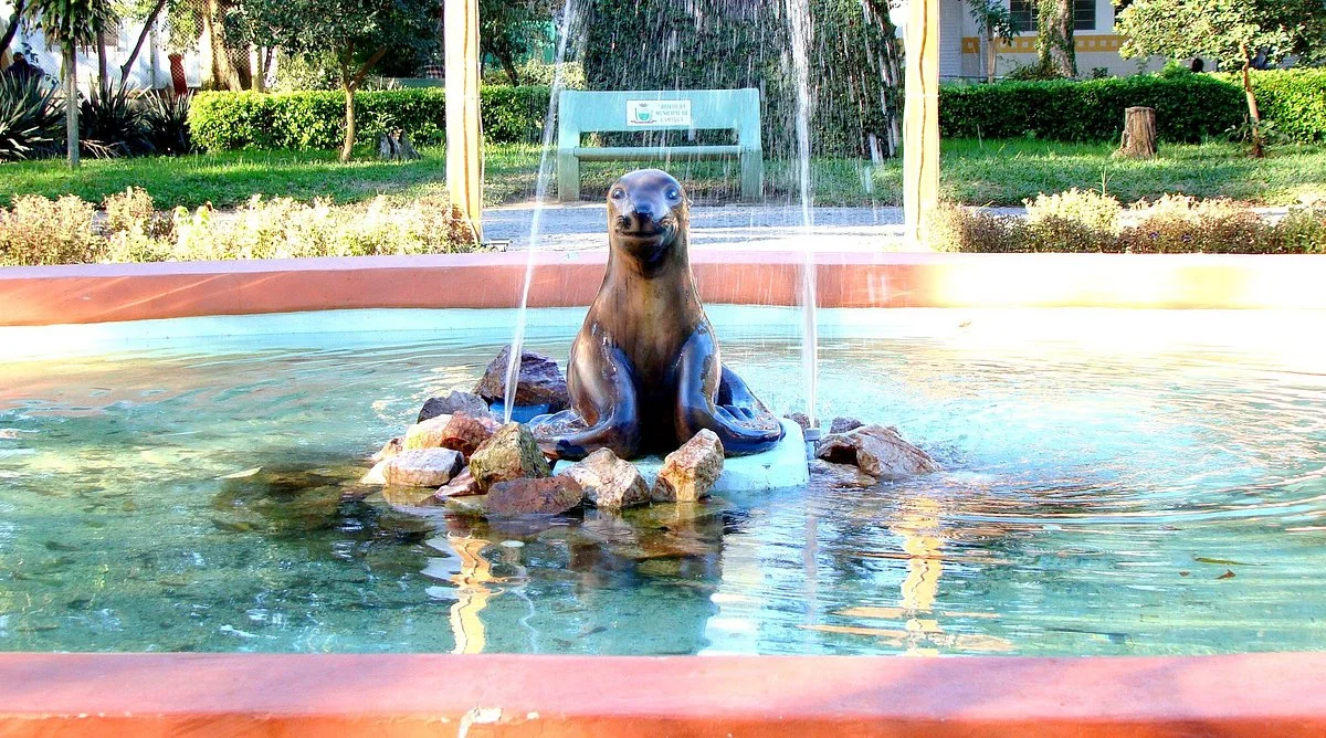Foca Maroca