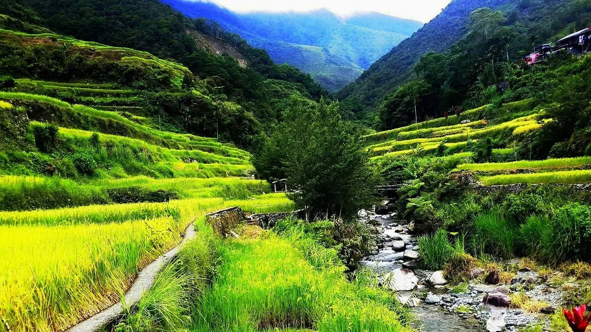 Hapao Rice Terraces