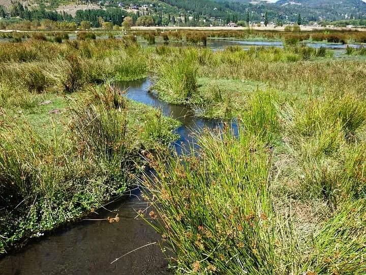 Reserva Natural Urbana Cotesma