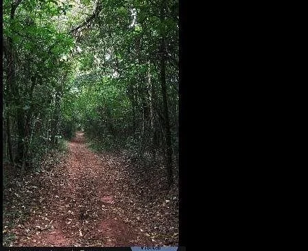 Parque Estadual Matas do Segredo