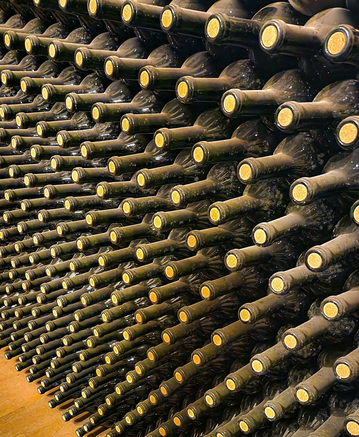 Bodega Tierra Colorada