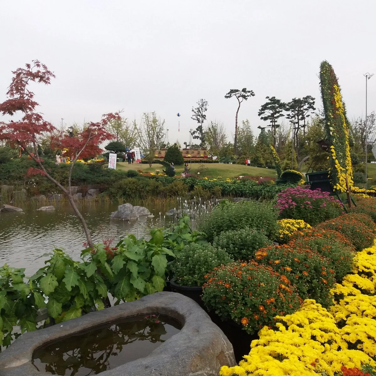 Yurim Park