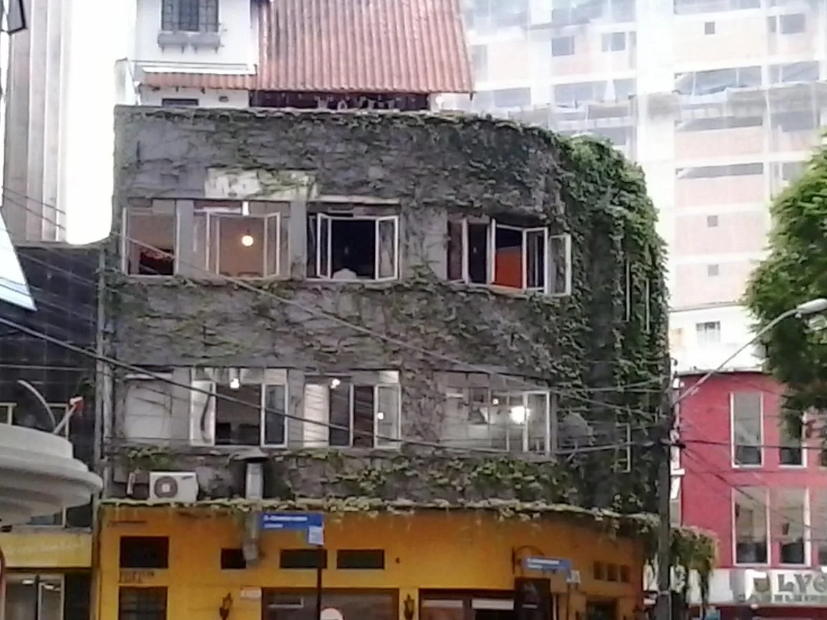 Casa Samambaia