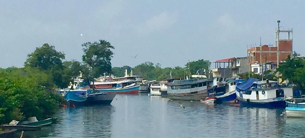 Port of Turbo