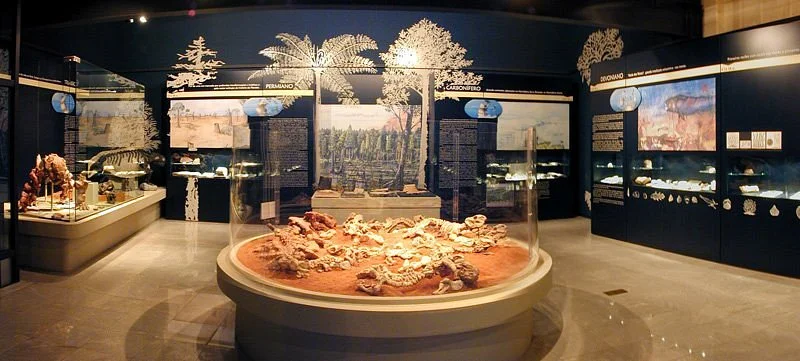 Museum UFRGS