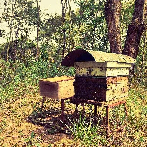 Sitio do Quintal