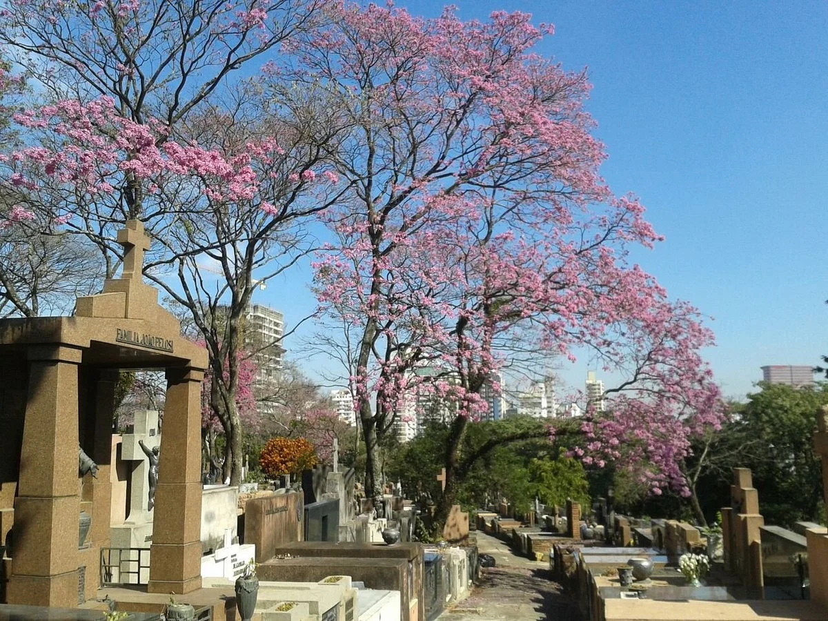 Cemitério São Paulo