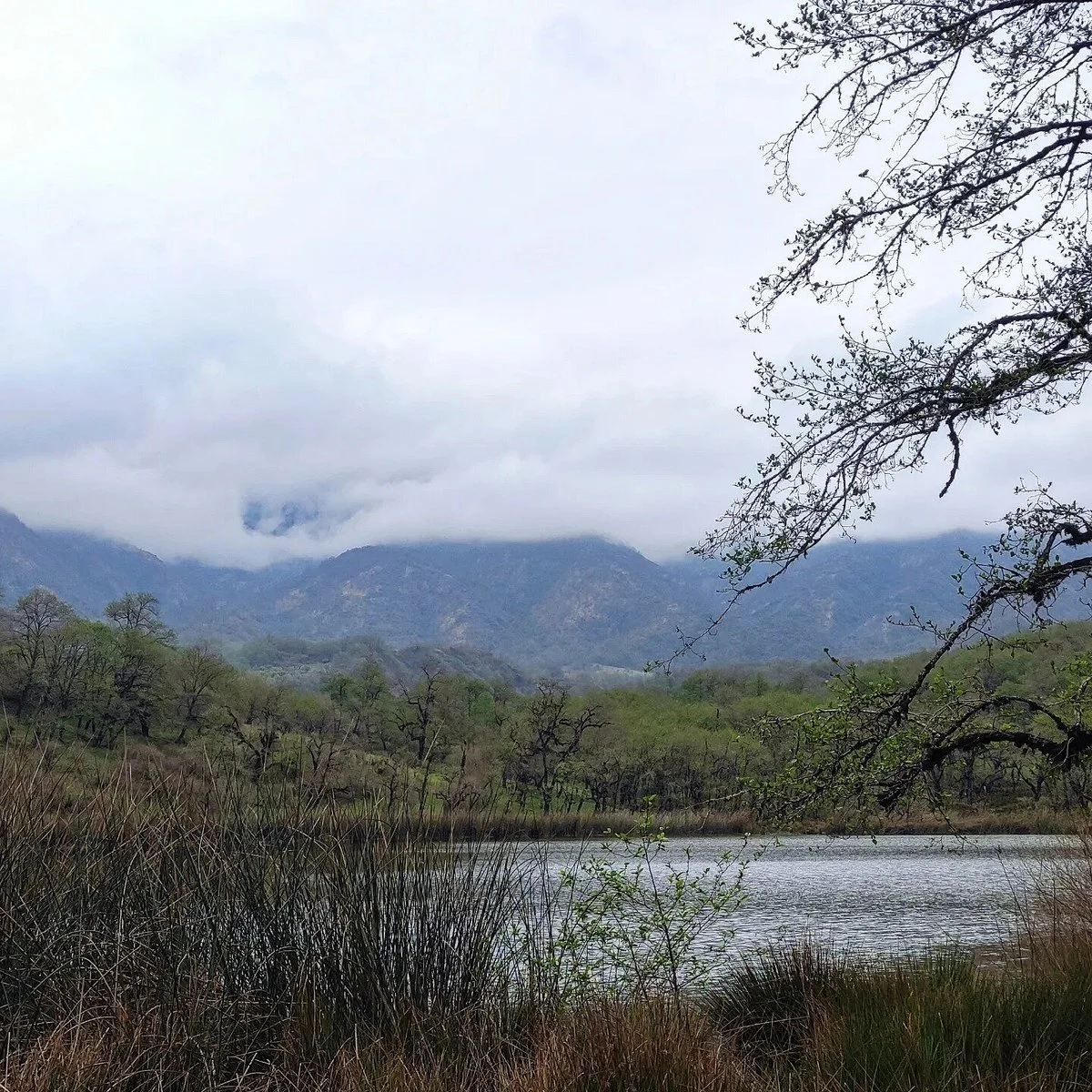 Laguna del Tesoro