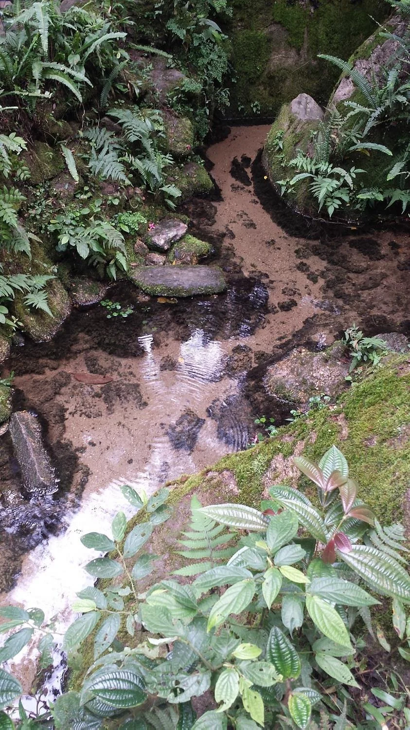 Springs of the Tiete Park