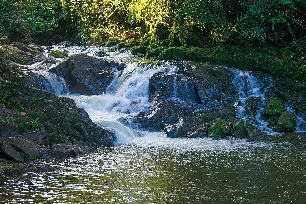 Cachoeira do Sagui