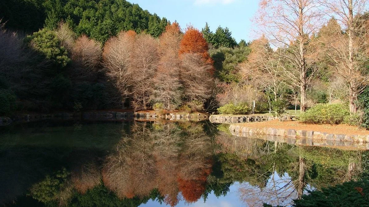Native Forest Park