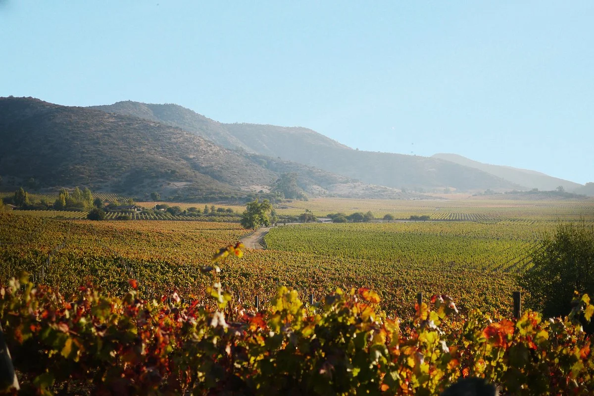 Clos de Luz