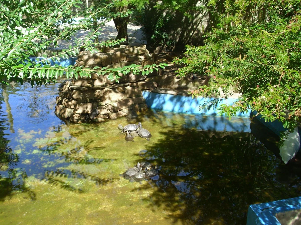 Zoologico de Atlantida