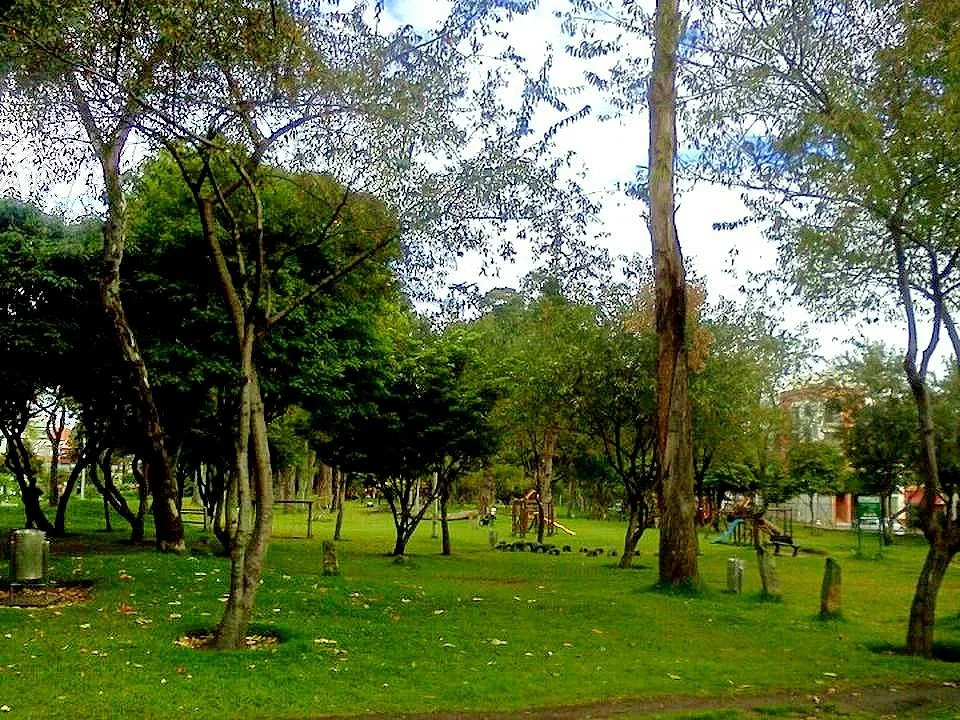 Parque Cedro Salazar