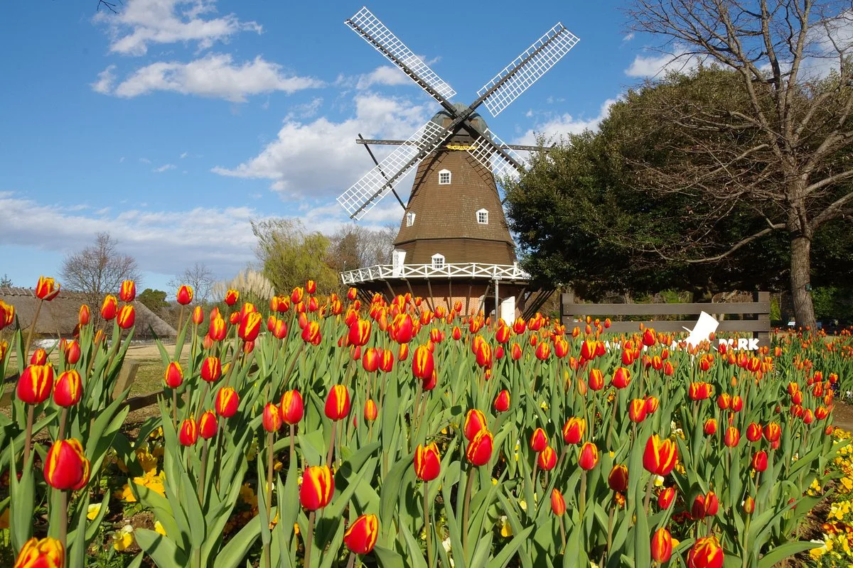 Funabashi Andersen Park