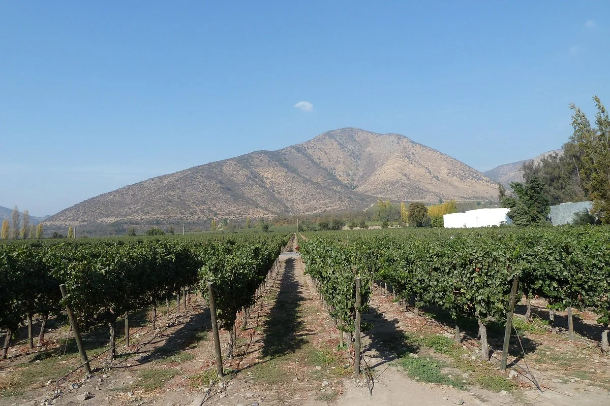 Maipo Alto Wine Route