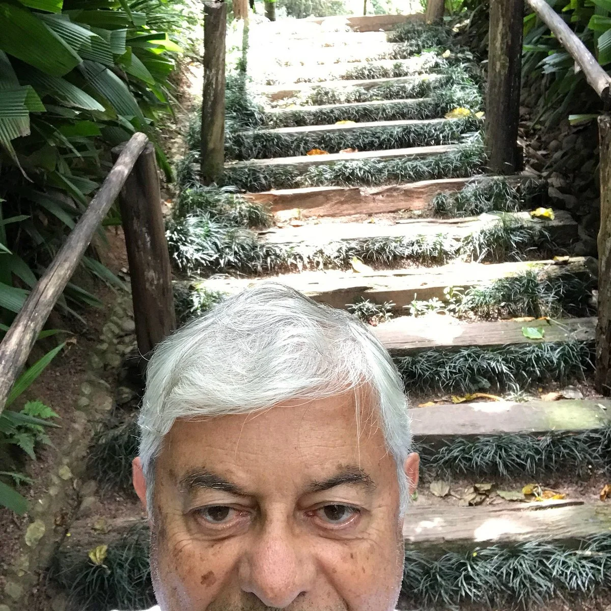 Parque Luis Carlos Prestes