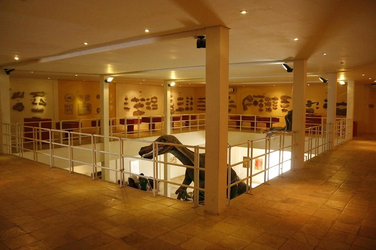 Museu de Paleontologia Plácido Cidade Nuvens