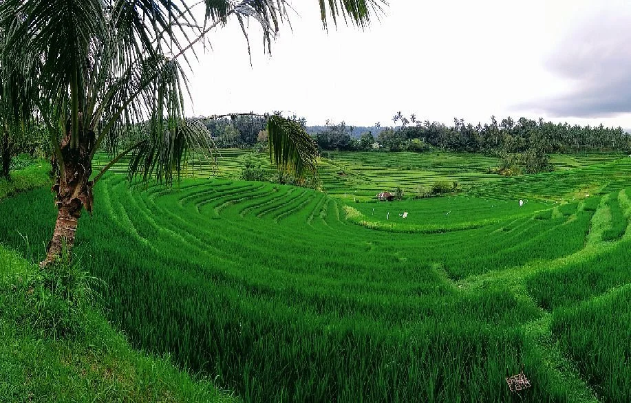 Belimbing Village