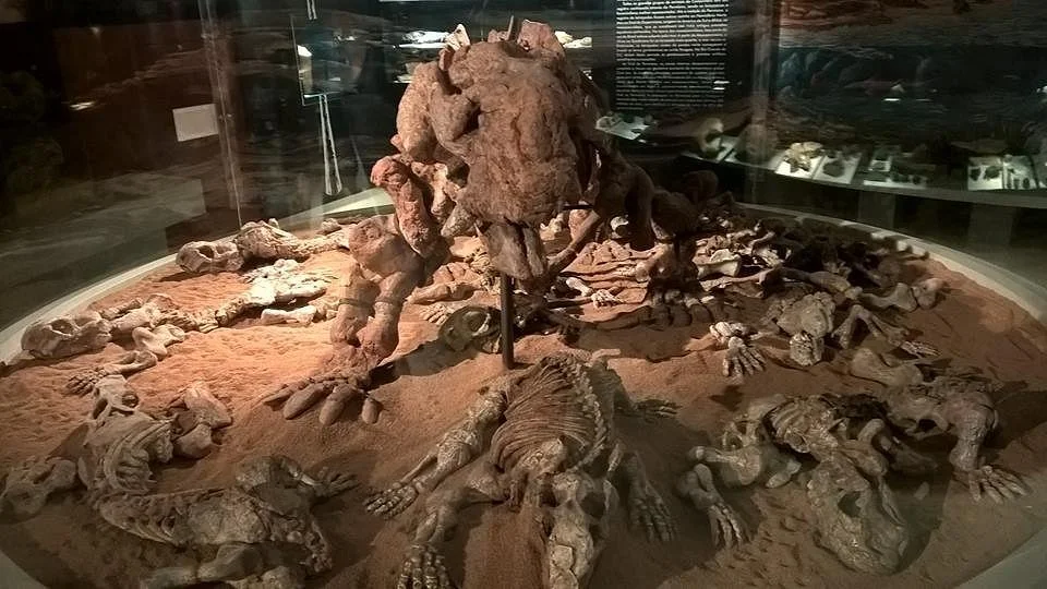 Museu de Paleontologia Irajá Damiani Pinto