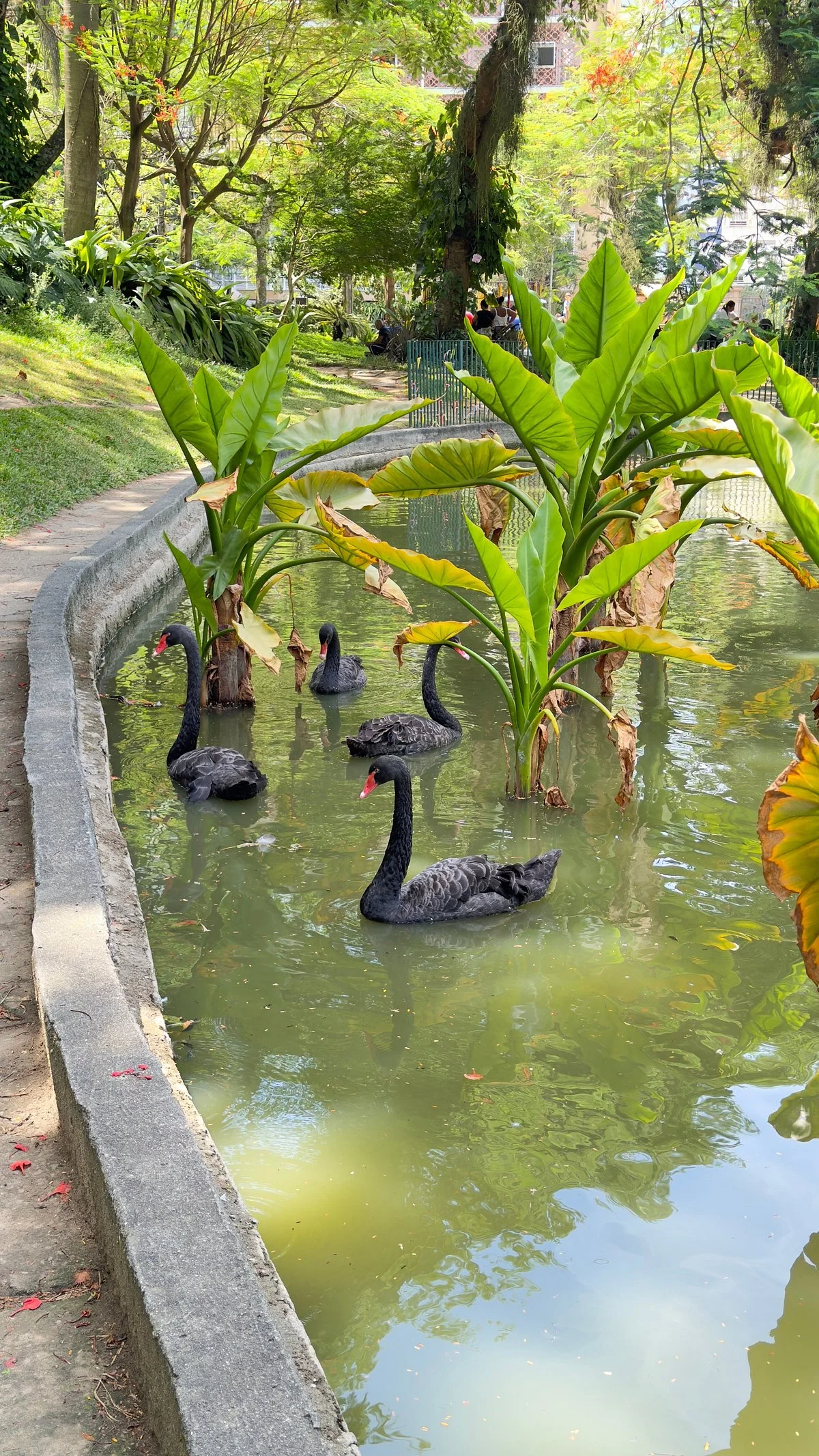 Guinle Park
