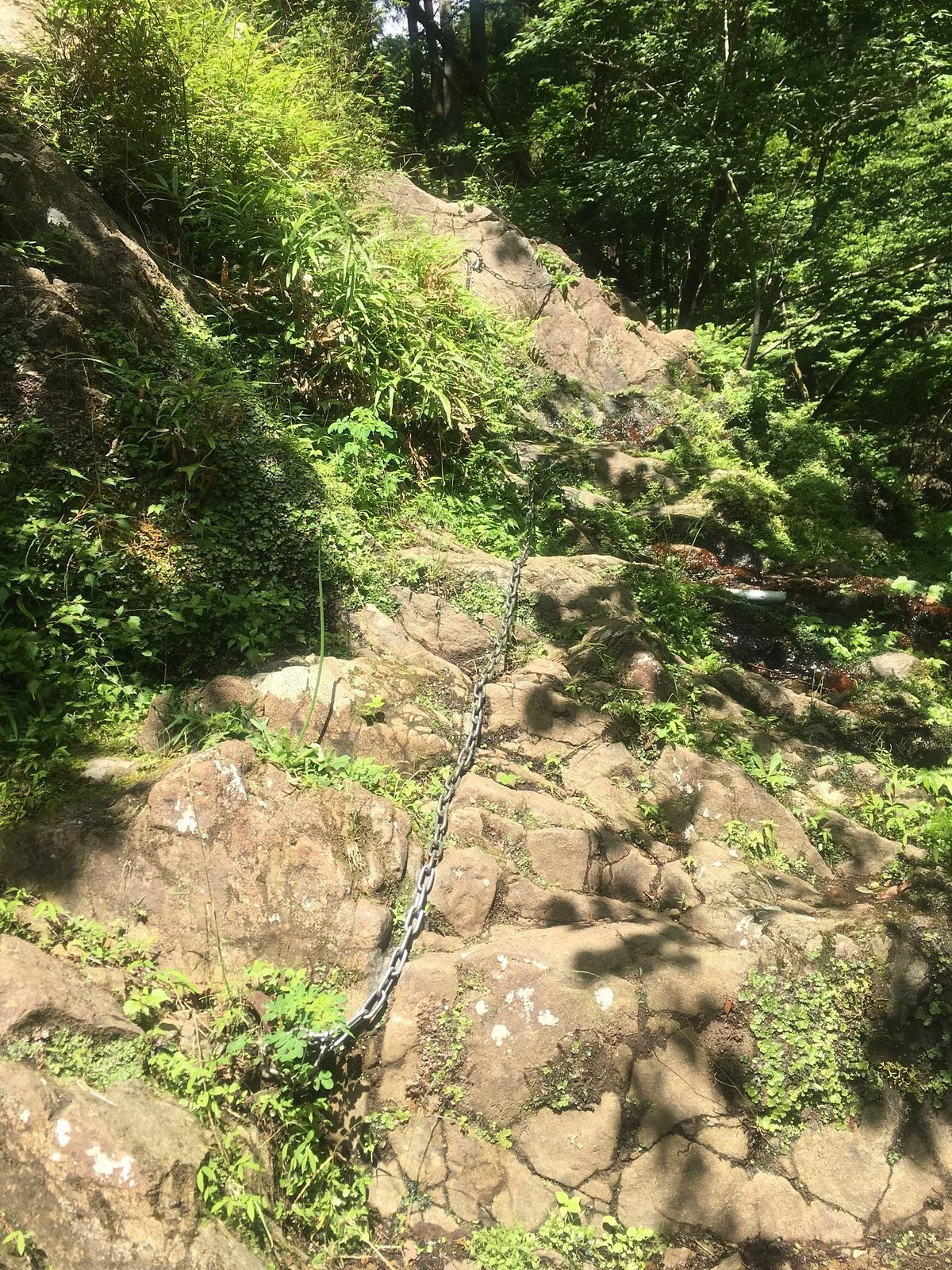 Mt. Mitsumine