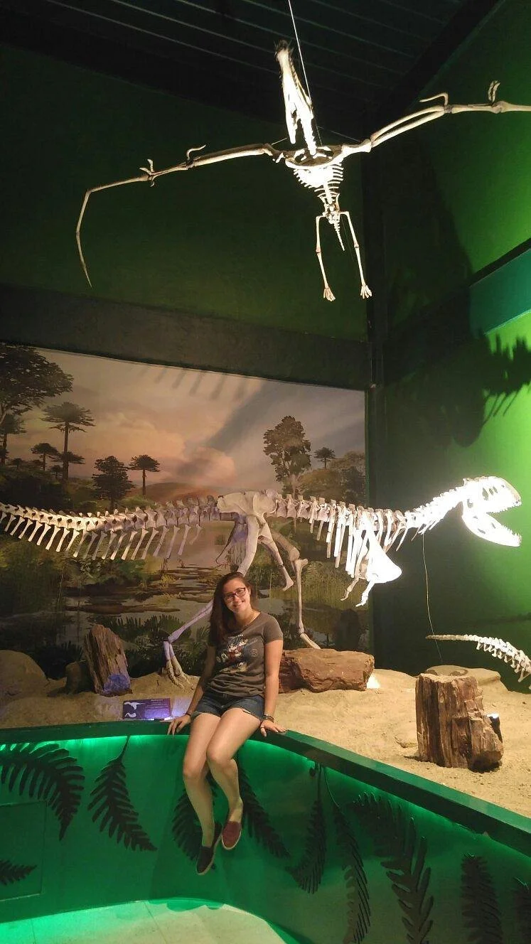 Museu da Geodiversidade