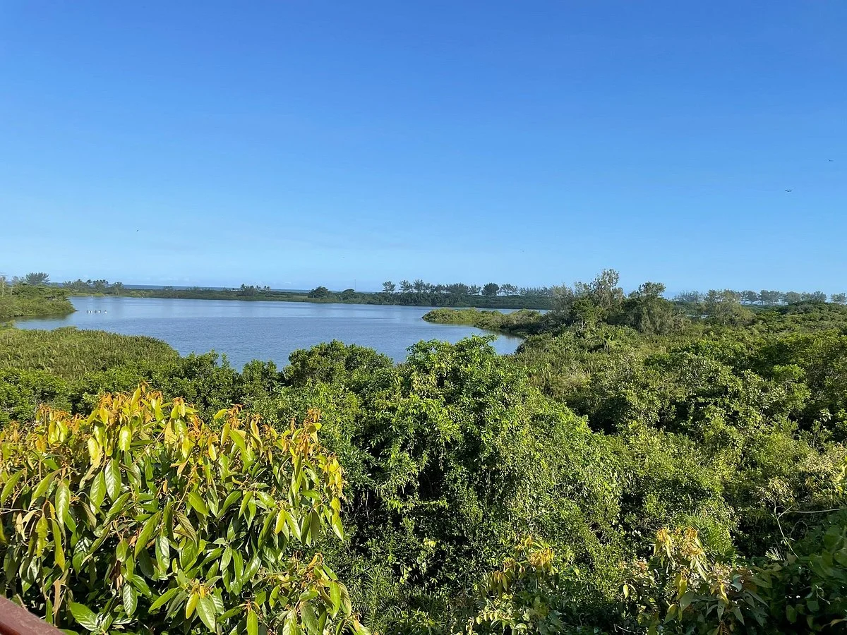 Parque Natural Municipal de Marapendi