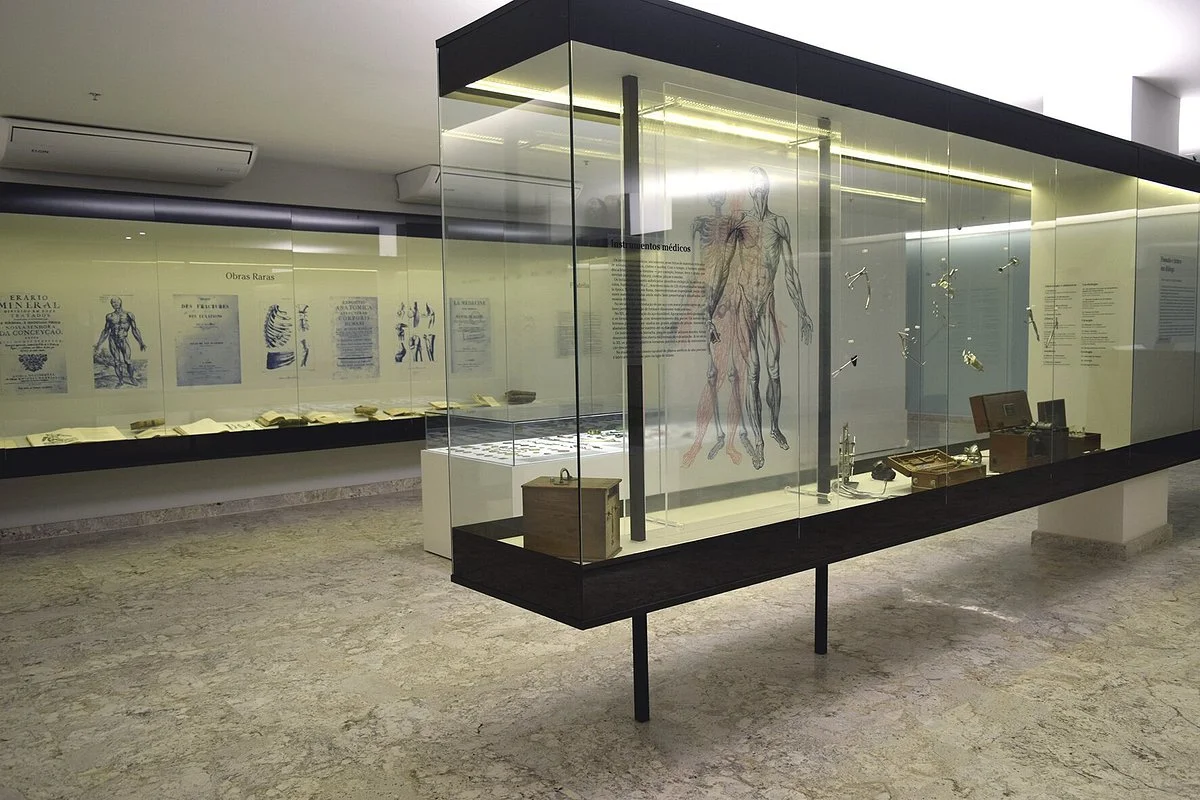 Inaldo de Lyra Neves Manta Museum