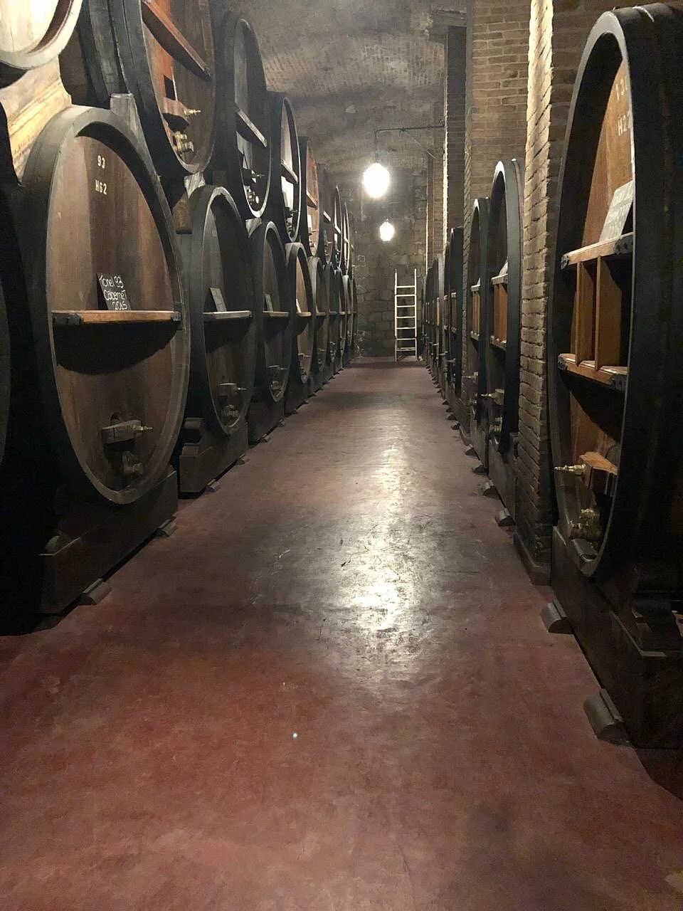 MendozaWineSite