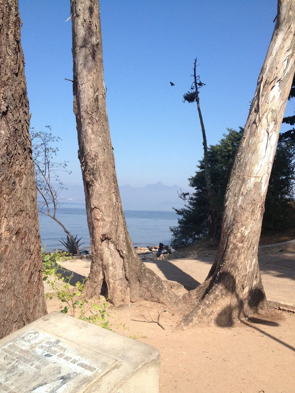 Marcello de Ipanema Park