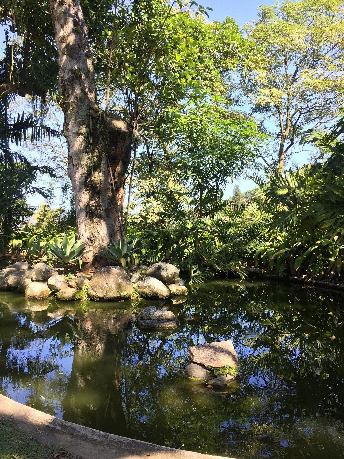 Museus Castro Maya