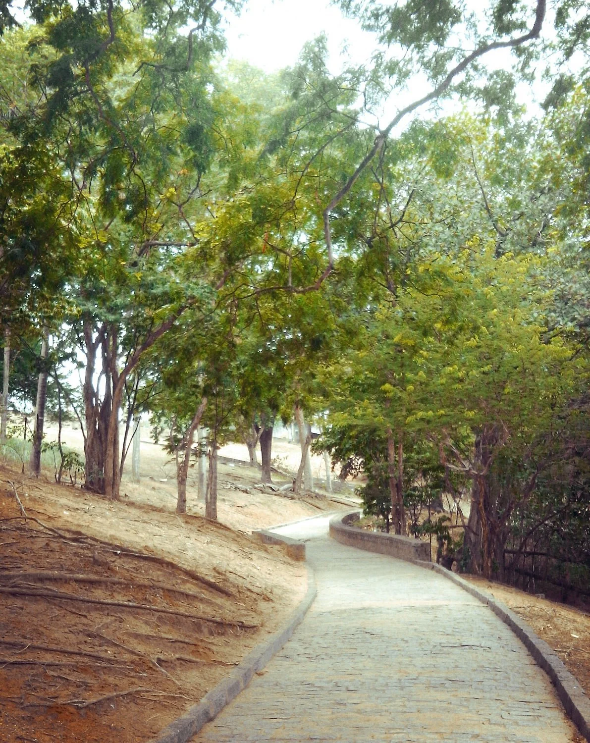 Parque Ary Barroso