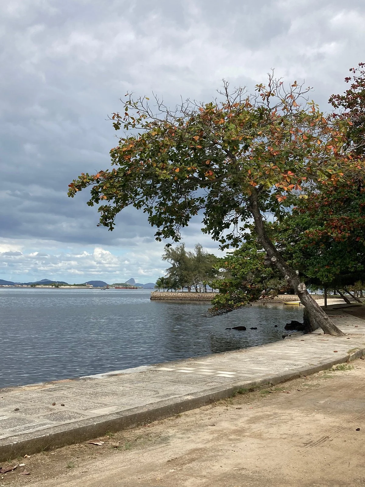 Ilha de Paqueta