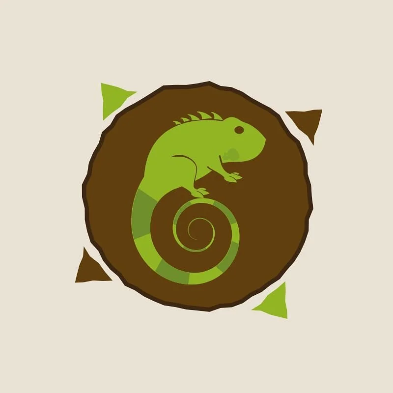 Iguana Turismo