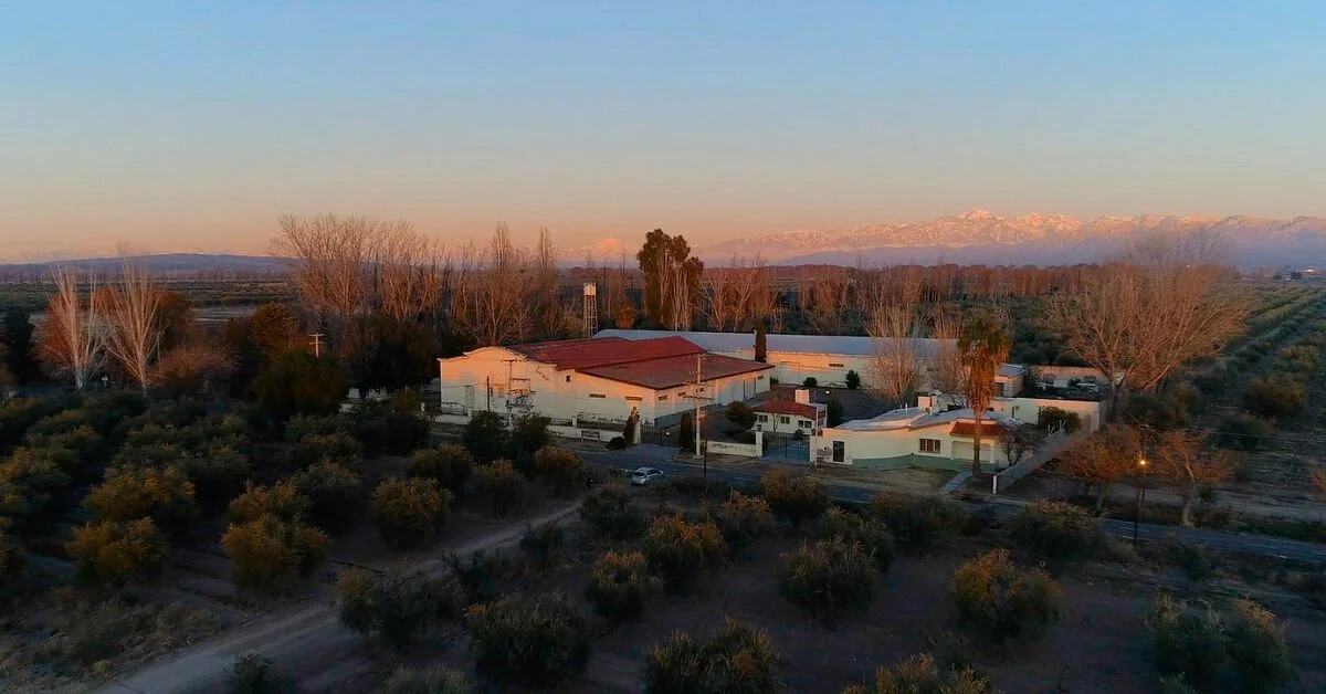 Bodega Atilio Avena