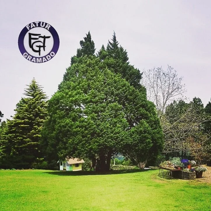 Fatur Gramado Turismo