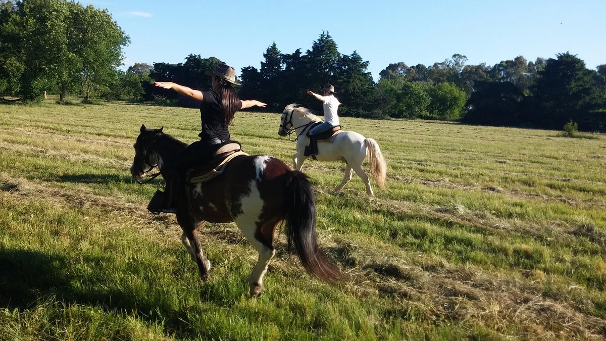 Caballos a la Par